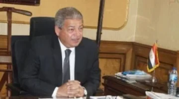 تصريح مهم سلطة المجلس الأعلى للإعلام تقتصر على القنوات الفضائية فقط